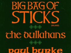 big bag of sticks (galway, irl) Bandfoto