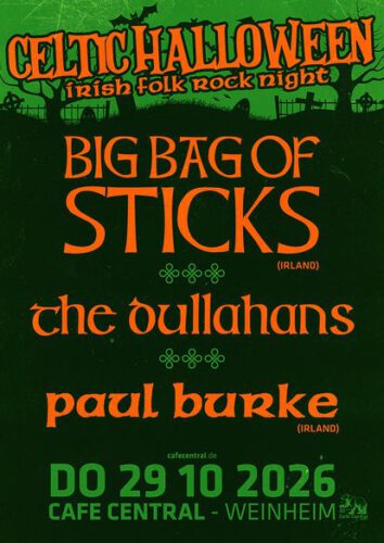 big bag of sticks (galway, irl) Bandfoto