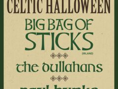 big bag of sticks (galway, irl) Bandfoto