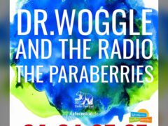 dr woggle and the radio, the paraberries & one more Bandfoto