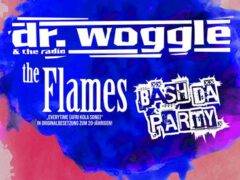 dr woggle and the radio Bandfoto