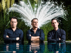 the peacocks Bandfoto