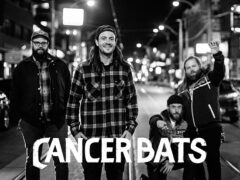 cancer bats Bandfoto