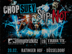 sytem of a down by chop suey, slip-not by chop suey,  linkin park tribute uk, limp bizkit tribute uk Bandfoto