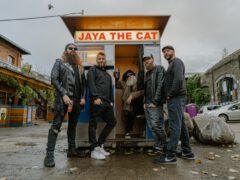 jaya the cat Bandfoto