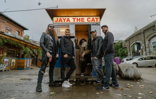 jaya the cat Bandfoto
