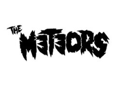 the fkn meteors Bandfoto
