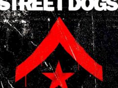 street dogs Bandfoto