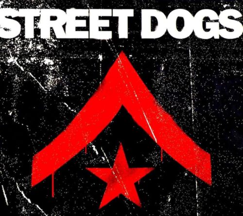 street dogs Bandfoto